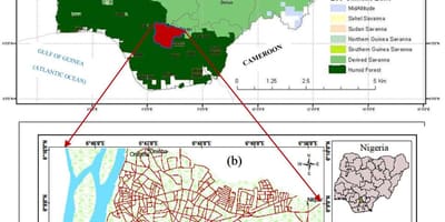 Mapa nigeria erakutsiz landaretza gerrikoak